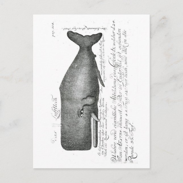 Cartão Postal Vintage Design (Frente)