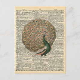 Cartão Postal Vintage Dictionary Art BeauLinda Peacock Bird