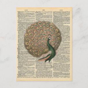 Cartão Postal Vintage Dictionary Art BeauLinda Peacock Bird