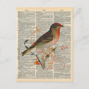 Cartão Postal Vintage Dictionary Art Bonito Red Orange ird