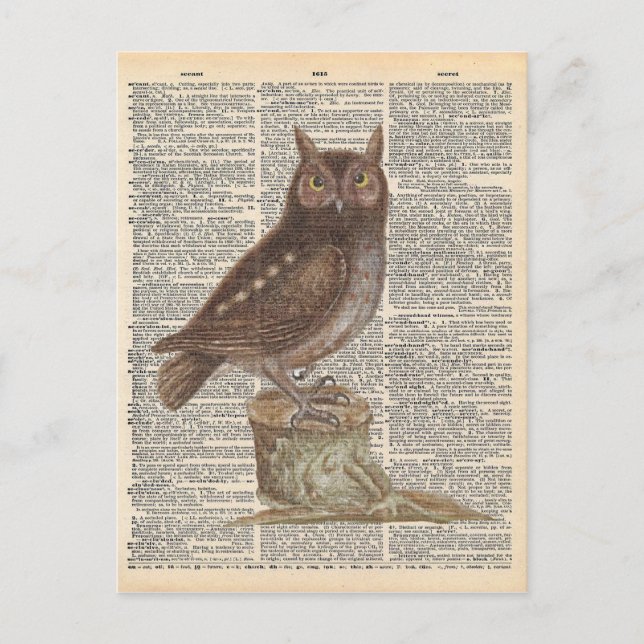 Cartão Postal Vintage Dictionary Art Brown Owl Bird (Frente)