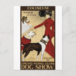 Cartão postal Vintage Dog Show Chicago