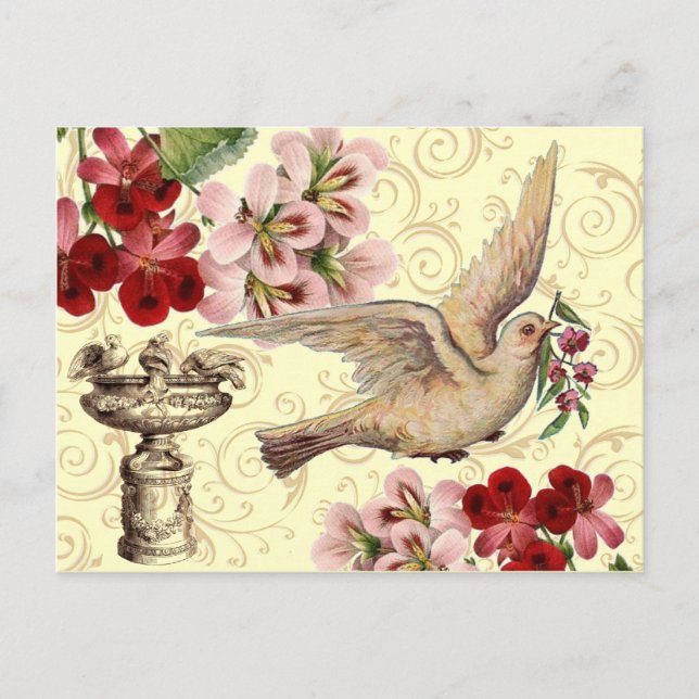 Cartão Postal Vintage Dove & Birdabat (Frente)