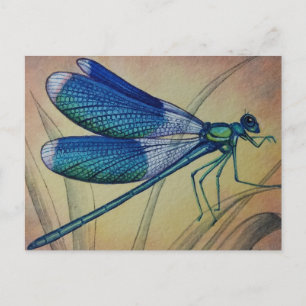 Cartão Postal Vintage Dragonfly No. 5 e Grass Watercolor Art