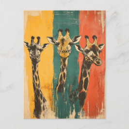 Cartão Postal Vintage Drei Giraffen auf