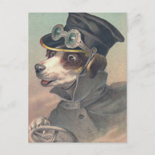 Cartão postal "Vintage Driver Dog"