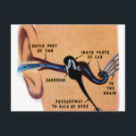 Cartão Postal Vintage Ear Canal Science Book Diagrama<br><div class="desc">Vintage Ear Canal Science Book Diagram,  mostrando o ouvido humano e todas as suas partes importantes! Se você gosta de vintage,  visite minhas outras lojas zazzle.com/curious_goods zazzle.com/retronaut zazzle.com/blackandwhiteonly</div>