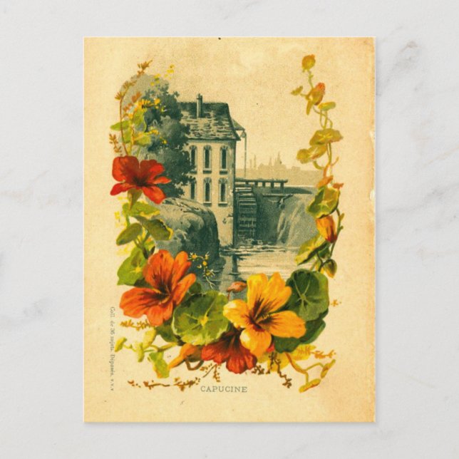 Cartão postal Vintage em francês/nasturtium (Frente)