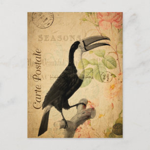 Cartão Postal Vintage Exotic Tropical Toucan Bird Floral French