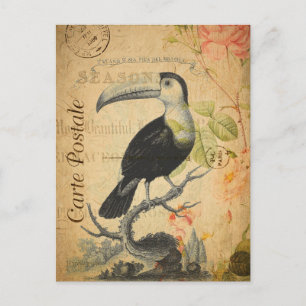 Cartão Postal Vintage Exotic Tropical Toucan Bird Floral French