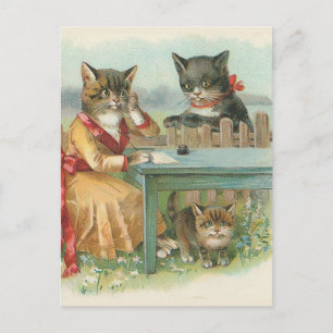 Cartão postal Vintage "Família Cat"
