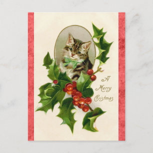 Cartão Postal Vintage Feliz Natal Saudações Gato Gato Gato Gelad