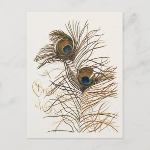 Cartão Postal Vintage Felry Christmas Peacock Feather