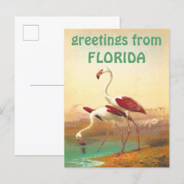 Cartão Postal Vintage Flamingos Saudações Do Viagem Da Flórida