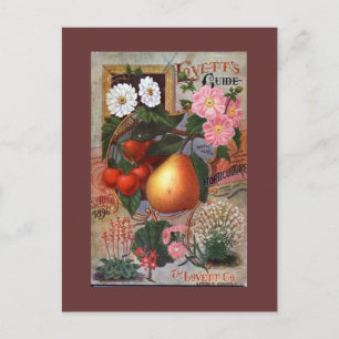 Cartão postal - Vintage Floral Fruta ilustração
