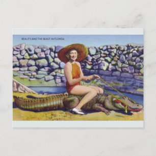 Cartão postal Vintage Florida Alligator