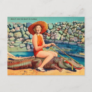 Cartão Postal Vintage Florida Alligator e Woman Viagem
