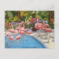 Vintage Florida flamingos cor-de-rosa viagem