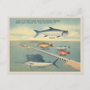 Cartão Postal Vintage Florida Keys Fisheries