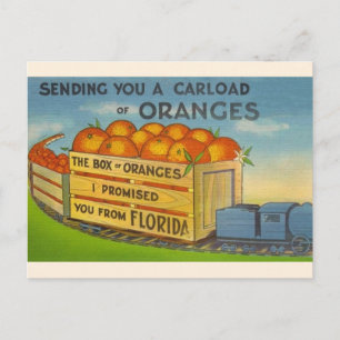 Cartão postal Vintage Florida Orange