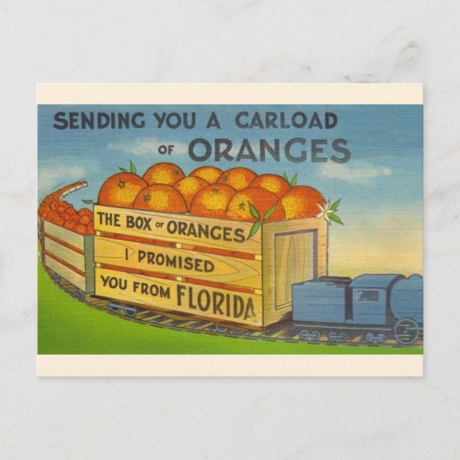 Cartão postal Vintage Florida Orange (Frente)