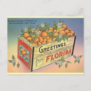 Cartão postal Vintage Florida Orange