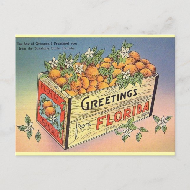 Cartão postal Vintage Florida Orange (Frente)