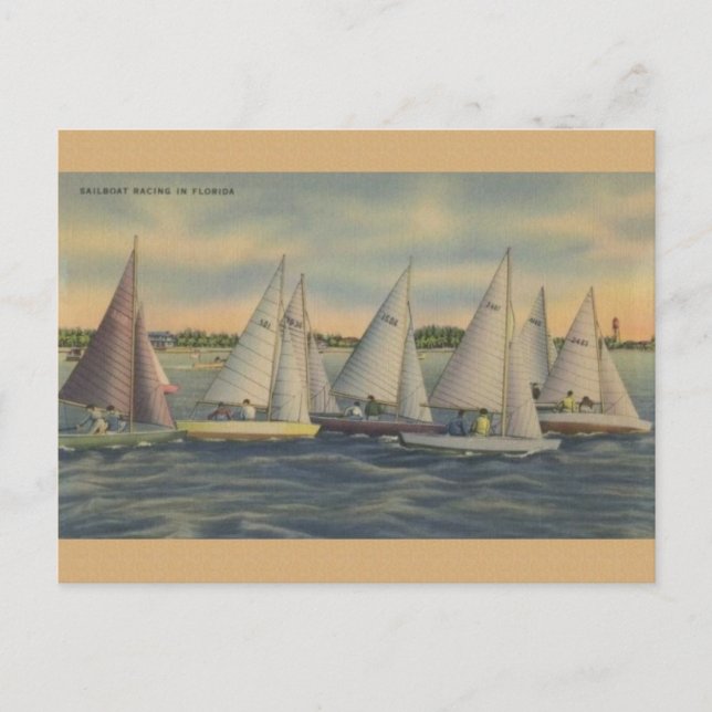 Cartão postal Vintage Florida Sailboat (Frente)