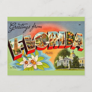 Cartão Postal Vintage Florida Saudação