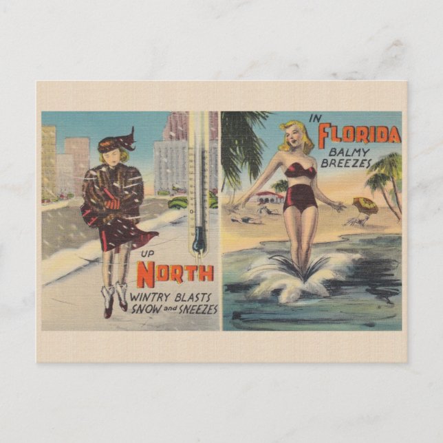 Cartão postal Vintage Florida Winter (Frente)
