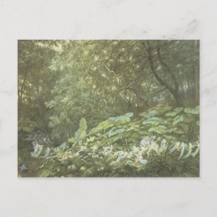 Cartão postal Vintage Forest Faerie
