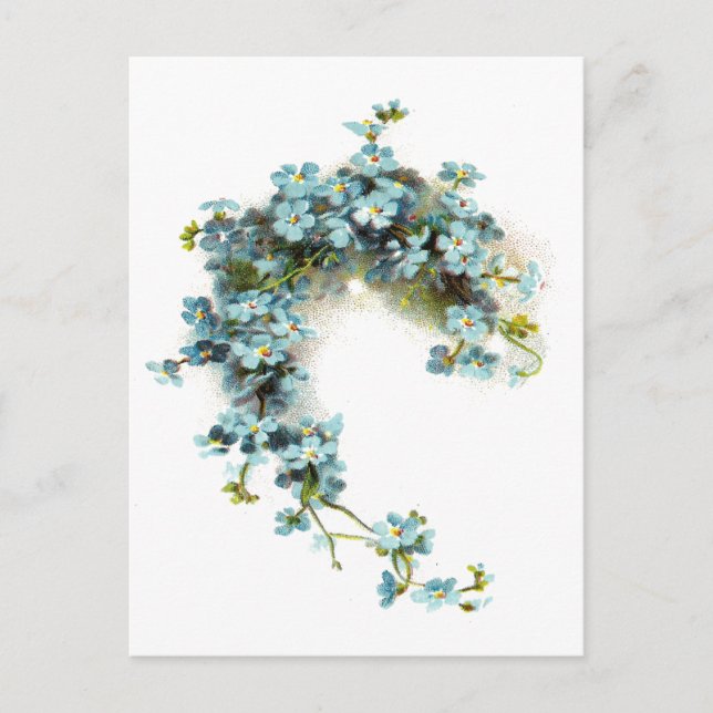 Cartão Postal Vintage Forget-Me-Nots (Frente)