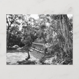 Cartão Postal Vintage Foto das Ruínas Copan Mayan em Honduras