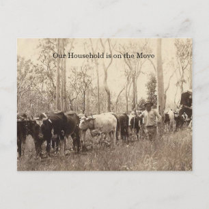 Cartão Postal Vintage Foto de uma Família em Movimento com Bovin