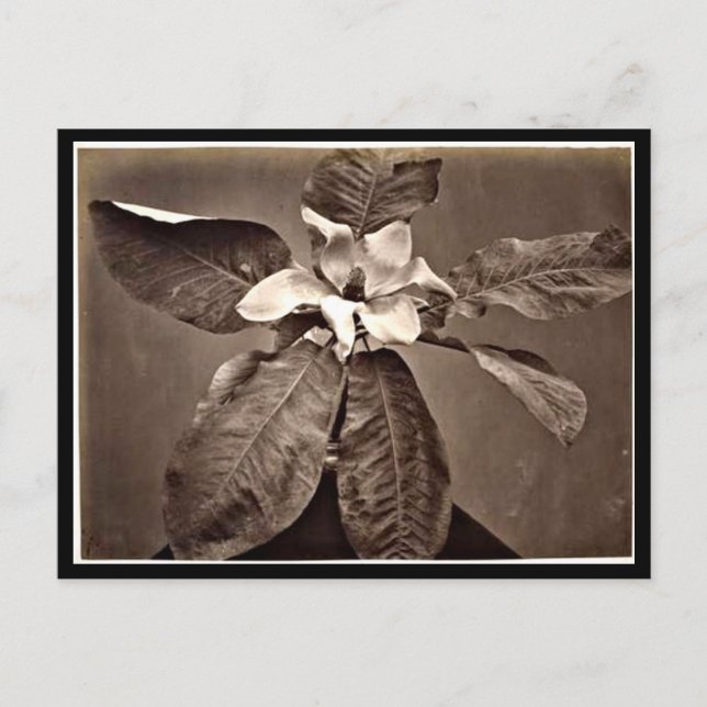 Cartão postal-Vintage Fotografia-Charles Aubry 24 (Frente)