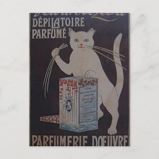 Cartão Postal Vintage French Advertisement - cats