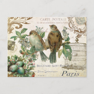 Cartão postal Vintage French Birds