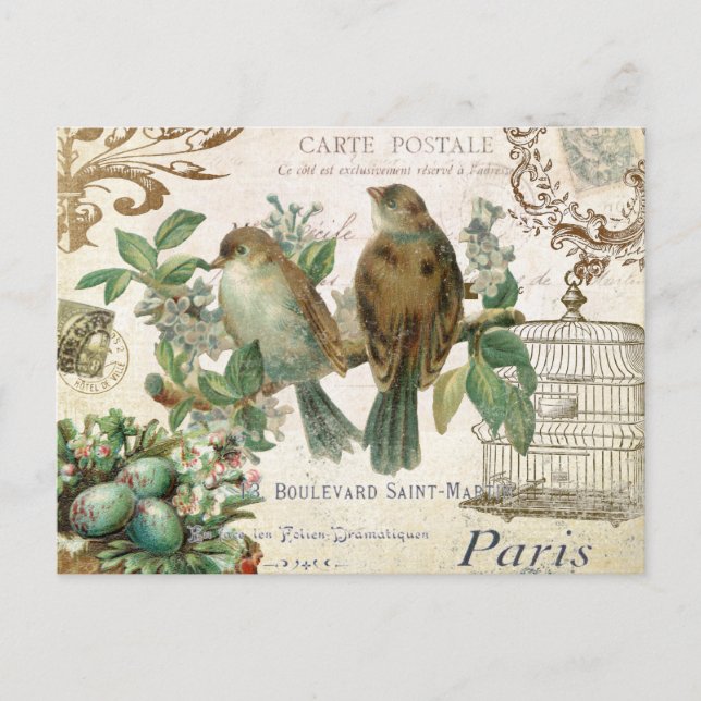 Cartão postal Vintage French Birds (Frente)