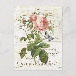 Cartão Postal Vintage French Botanic rosa postal