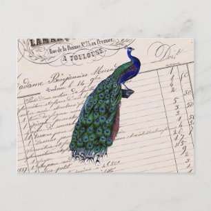 Cartão Postal Vintage French Chic Blue Peacock
