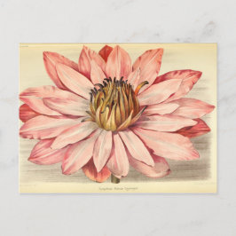 Cartão Postal Vintage French Floral Ephemera Decoupage Pink Tiss