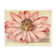 Vintage French Floral Ephemera Decoupage Pink Tiss