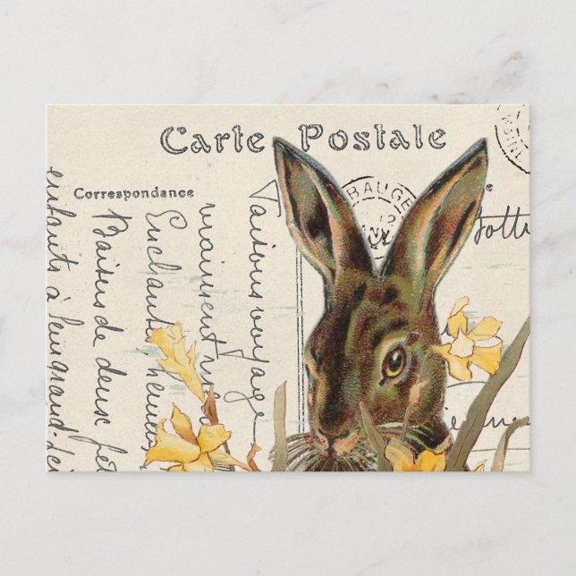 Cartão postal Vintage French Páscoa Rabbit Daffodi (Frente)