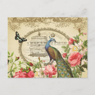 Cartão postal Vintage French Peacock
