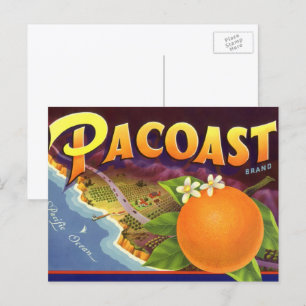 Cartão Postal Vintage Fruit Crate Label Art, Pacoast Oranges