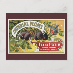 Cartão Postal Vintage Fruta Crate Label Art, Imperial Plums