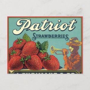 Cartão Postal Vintage Fruta Crate Label Art Patriot Strawberry