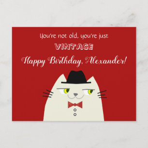 Cartão Postal Vintage Funny Maley Cat Aniversário