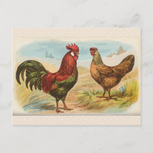 Cartão postal vintage "Galinha Leghorn"