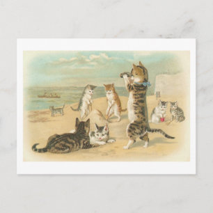 Cartão postal Vintage "Gatos na Praia"
